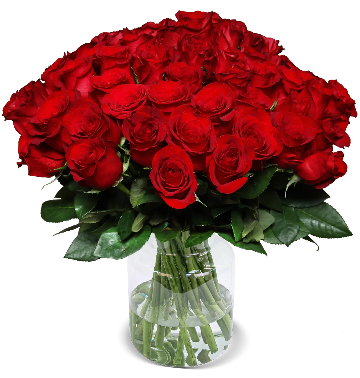 60 rote Rosen "Perfekter Liebesbeweis"