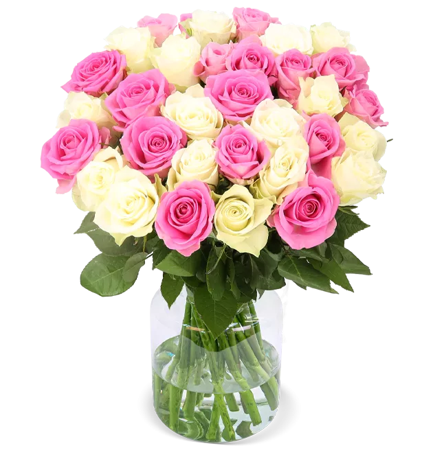 50 Rosen CandyCotton