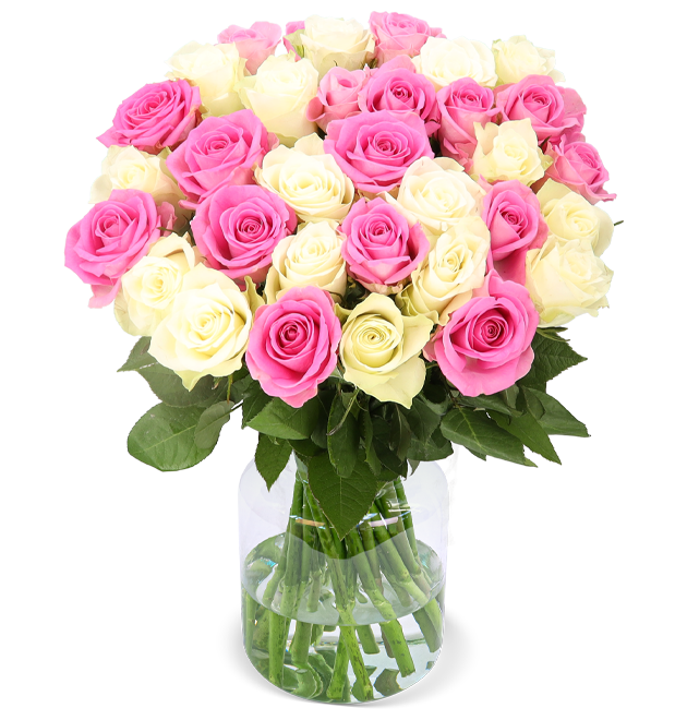 BlumenstraußVersand Finden Sie den perfekten Blumenstrauß 50 Rosen