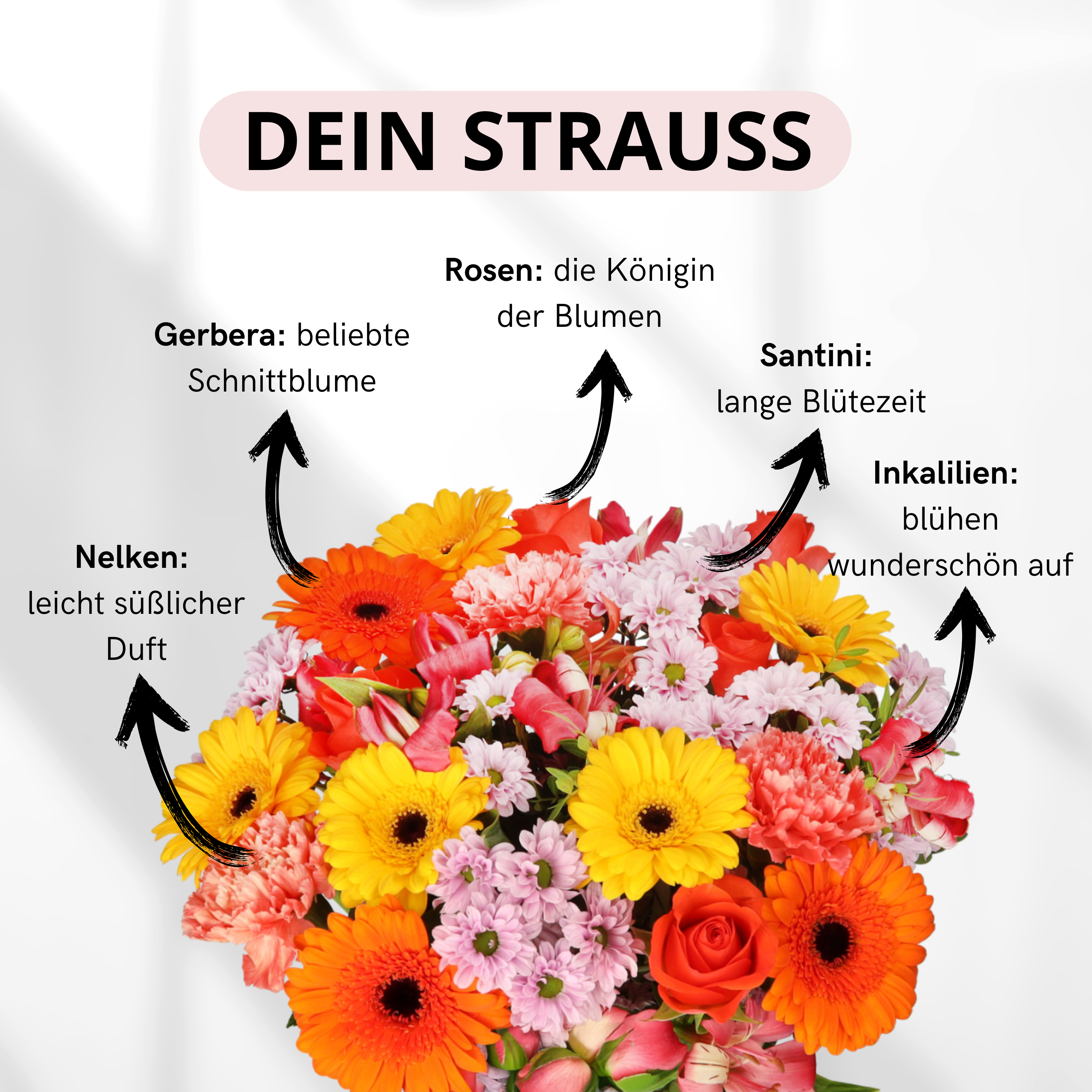 Herbstzauber