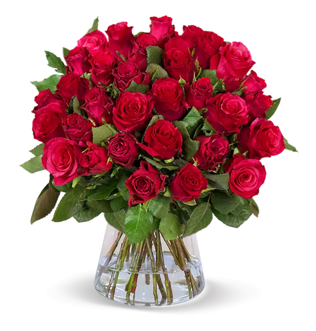 50 rote Rosen