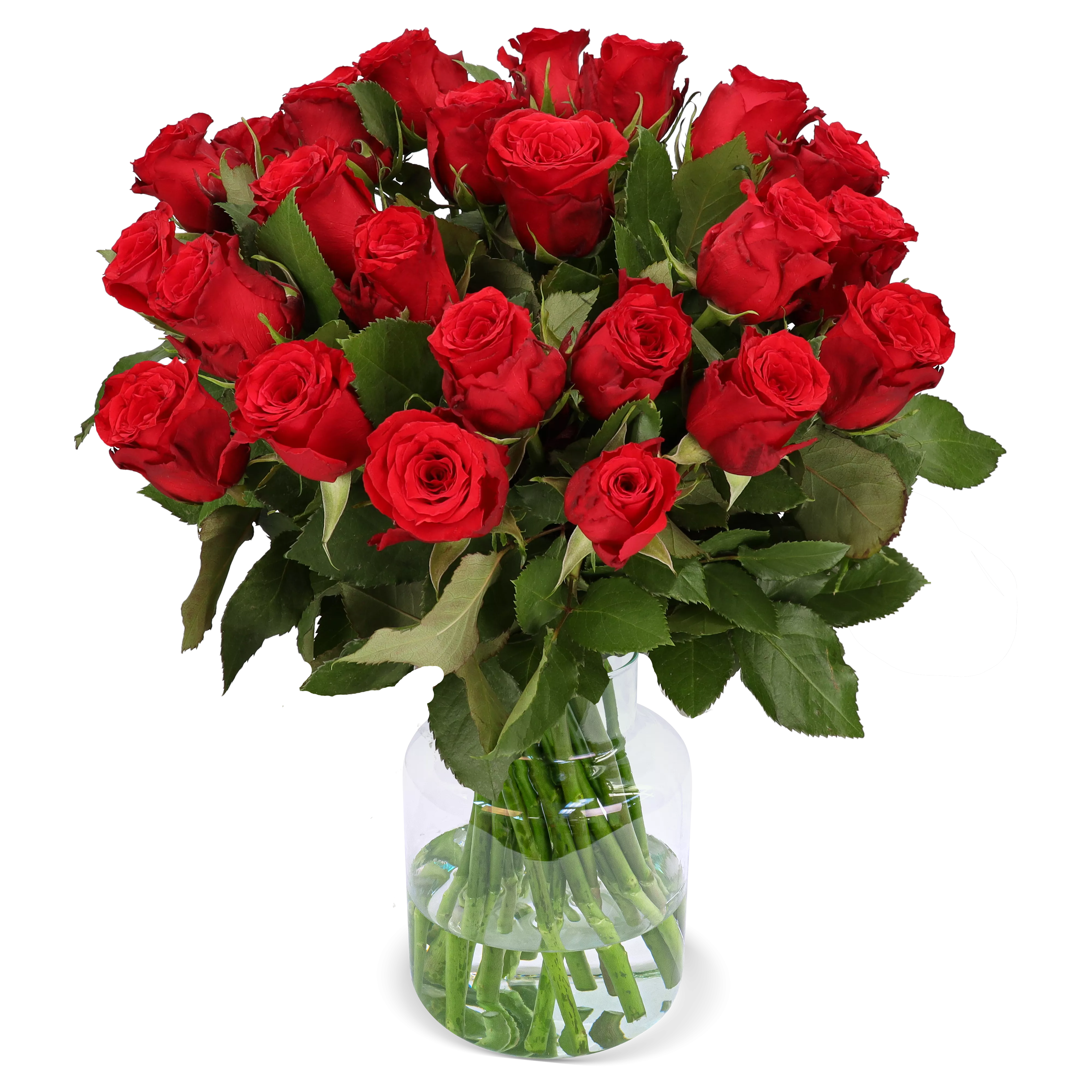 18 Rote Rosen