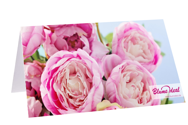 Blume Ideal