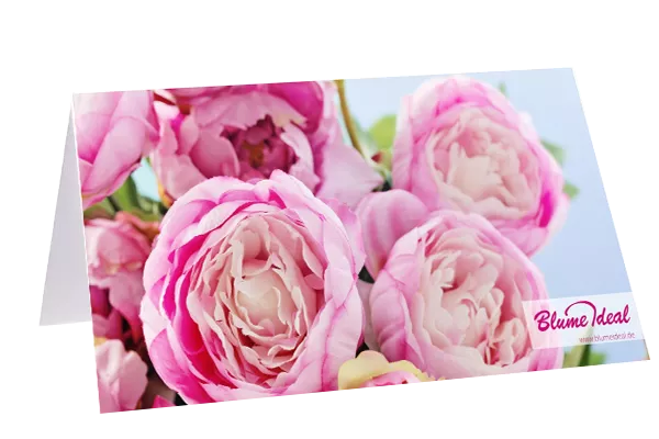 Blume Ideal
