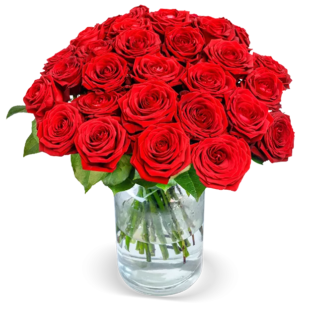 Red Naomi Rosen