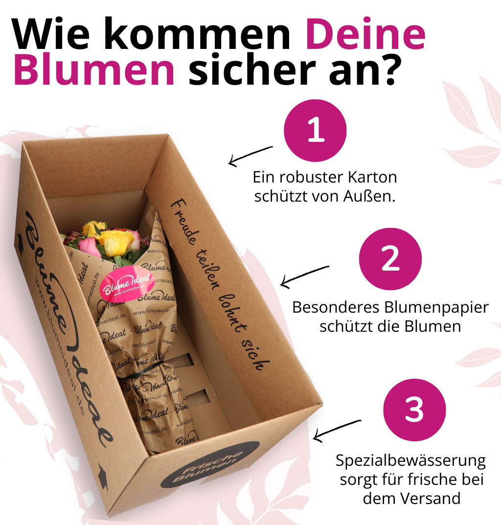 50 rote Rosen + GRATIS Herzteddy und Kette