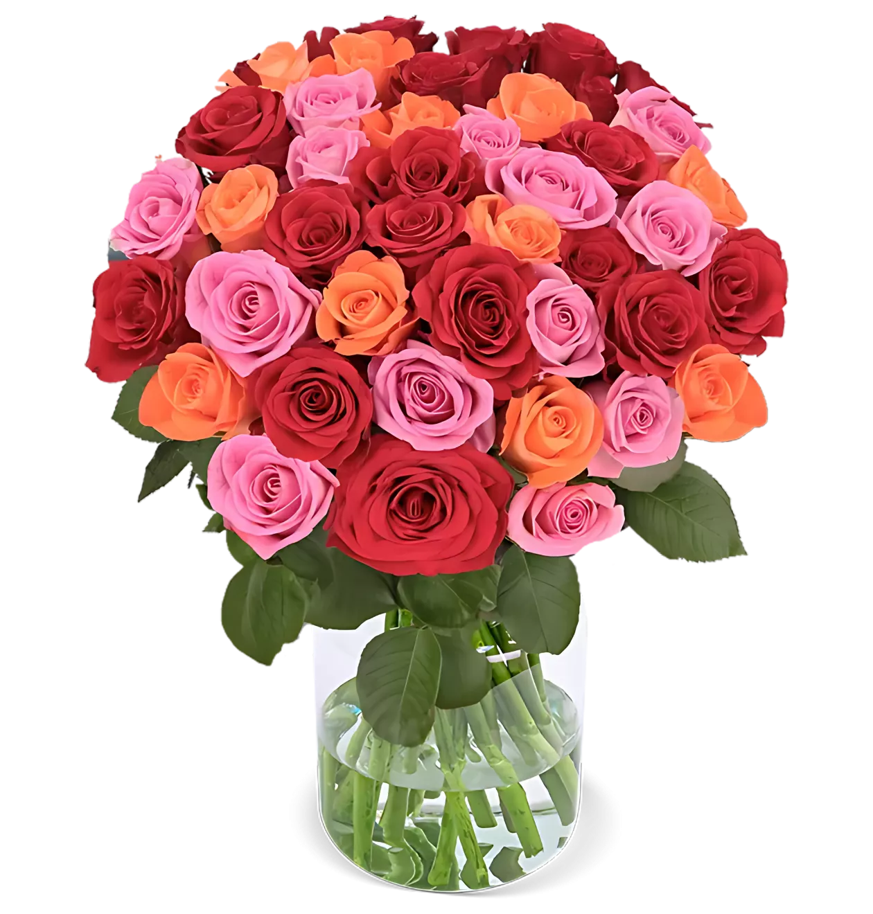 60 Rosen - “Rosenbeet”