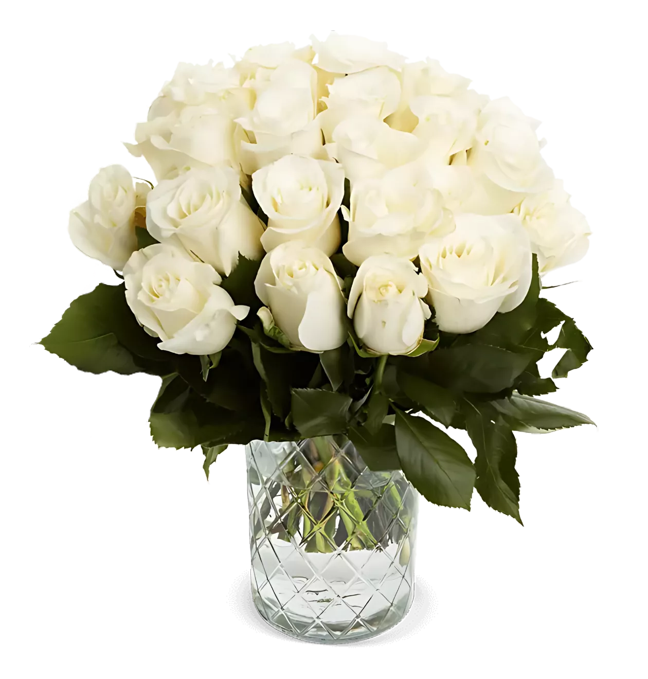 60 weiße Rosen