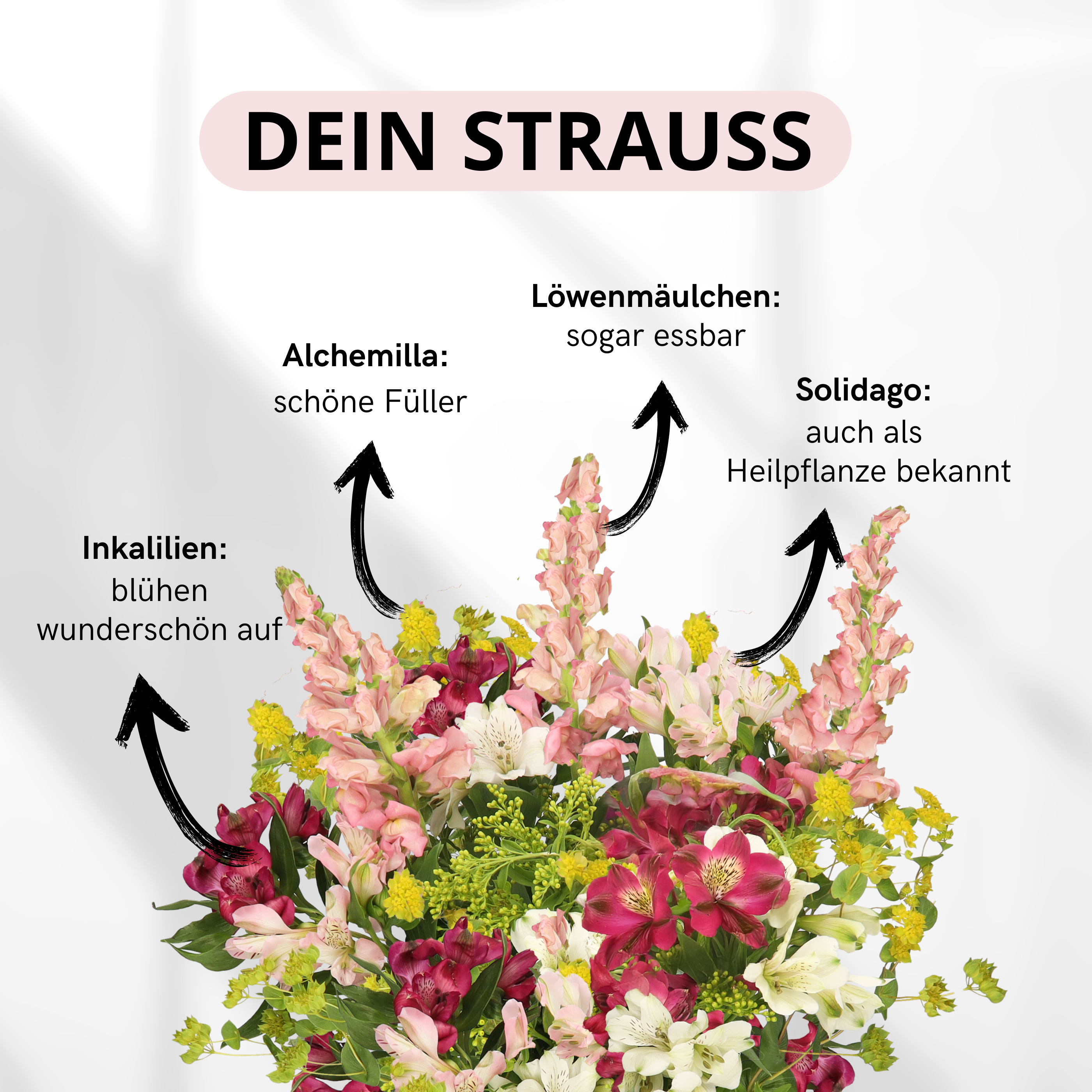 Kleiner Schnittblumenmix (DiY)
