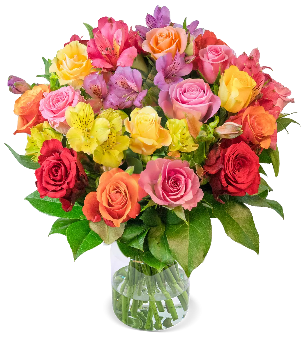 Rosenglück mit bis zu 40 Blüten