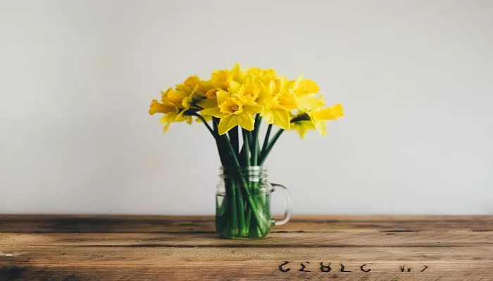 Frische Schnittblumen - Top 5 Tipps zum frisch halten Schnittblumen