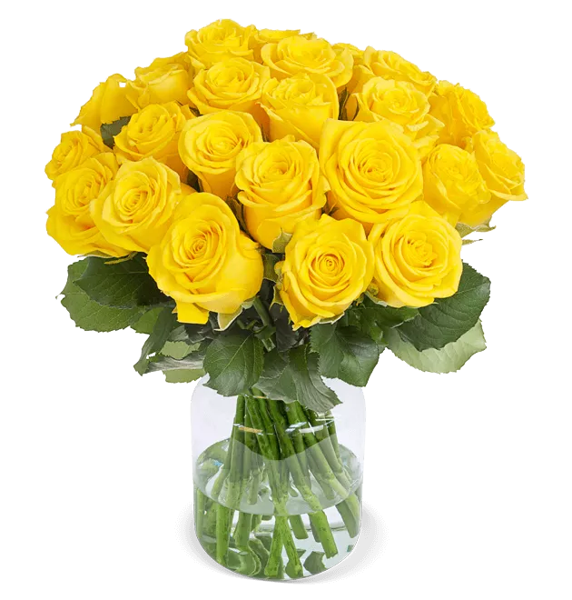 Gelbe Rosen