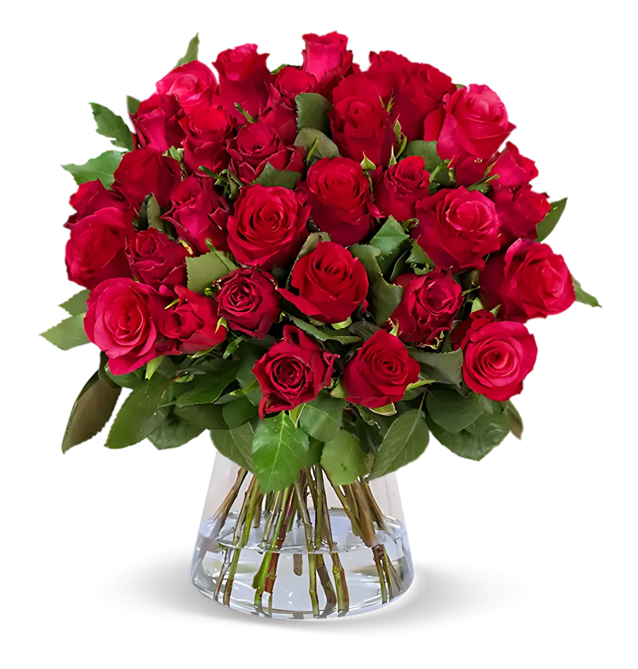 40 rote Rosen
