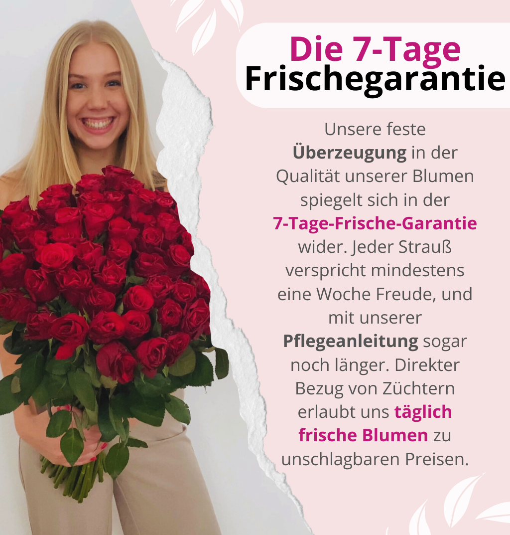 50 rote Rosen + GRATIS Herzteddy und Kette
