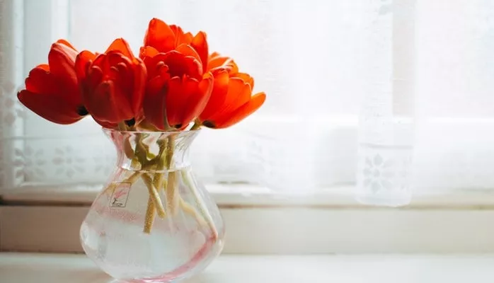 Schnittblumen Pflege - 5 schnelle und einfache Tipps Schnittblumenpflege