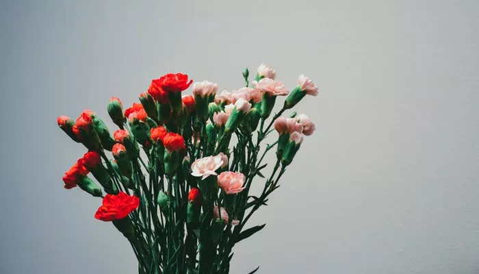 Geburtsblume Januar