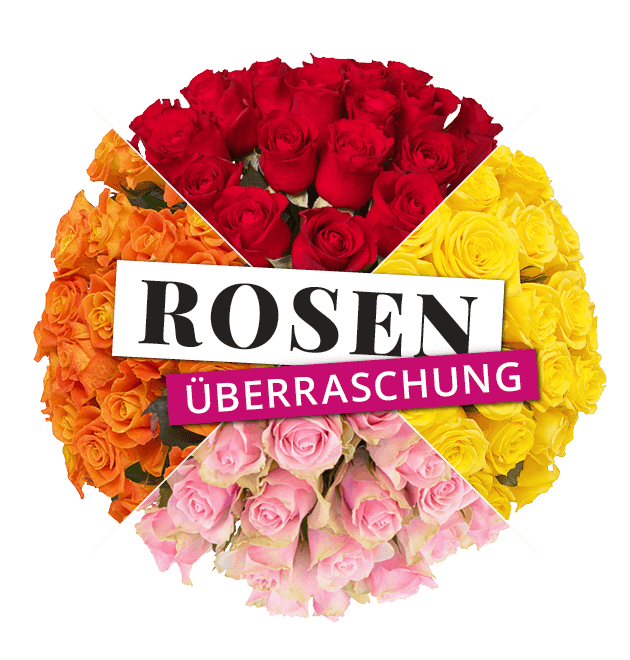 Rosenüberraschung