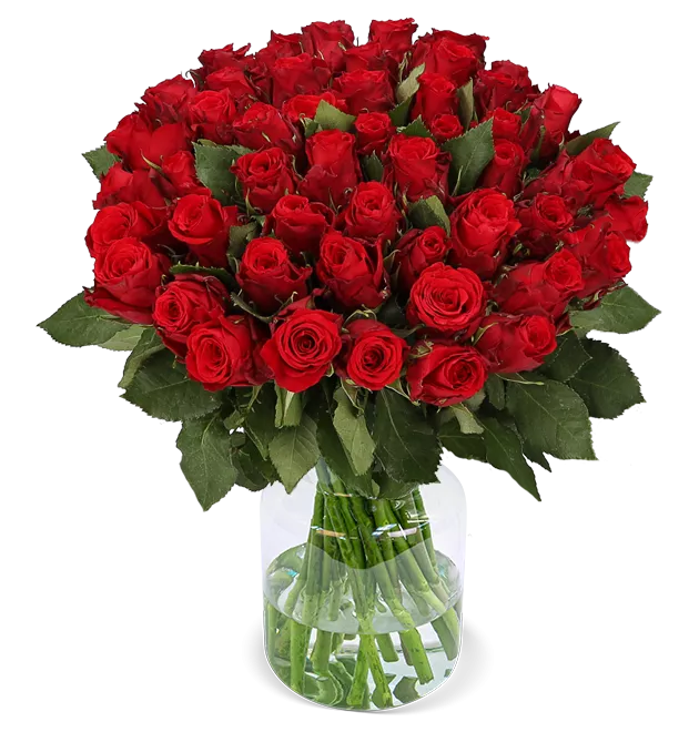 50 rote Rosen