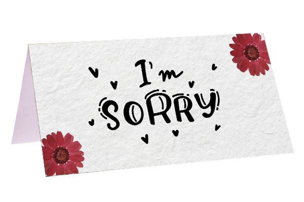 I'm sorry