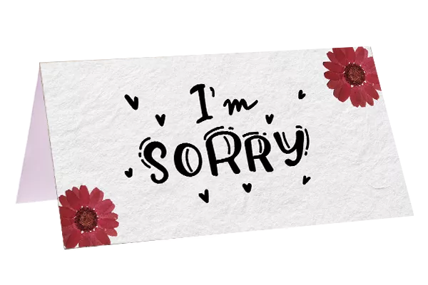 I'm sorry