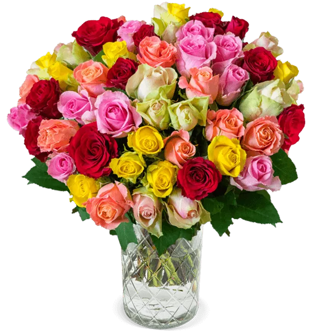 Bunte Rosen