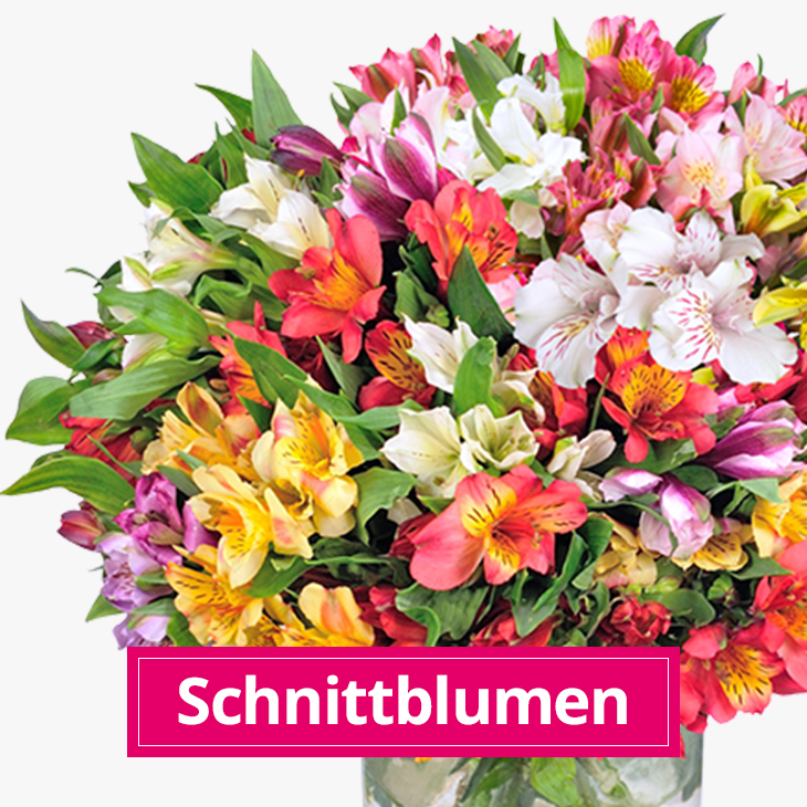 Schnittblumen bestellen