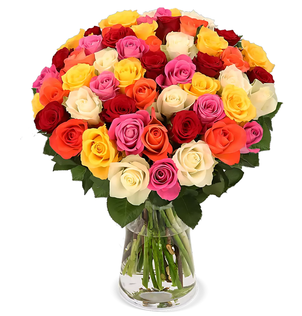 10 bunte Rosen