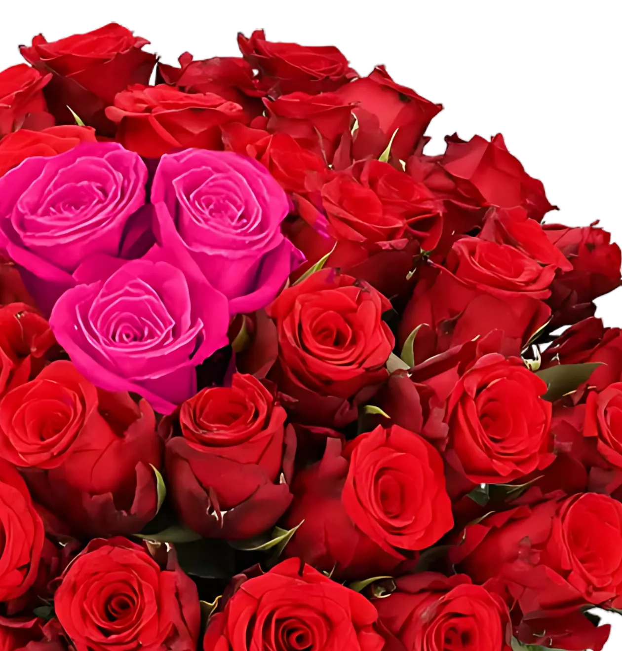 60 Rosen - “Heartbeat”