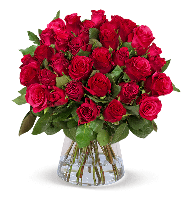50 Rote Rosen Online Bestellen Blumeideal De