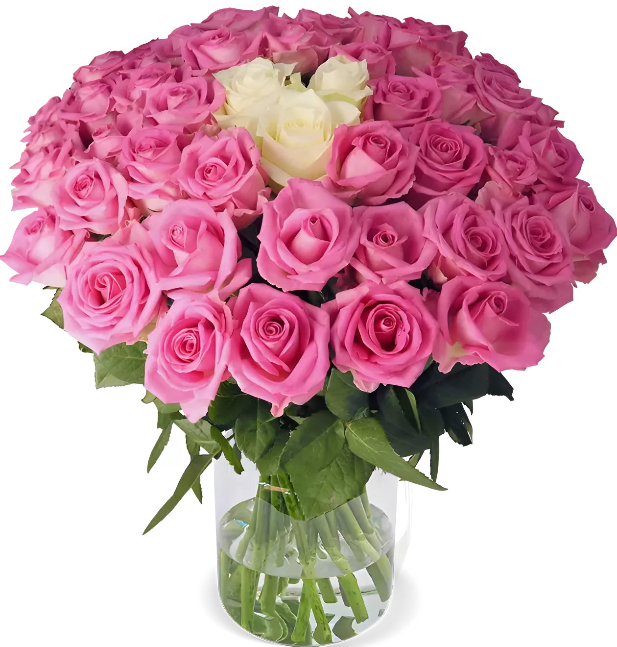 60 Rosen - “Pink Special”