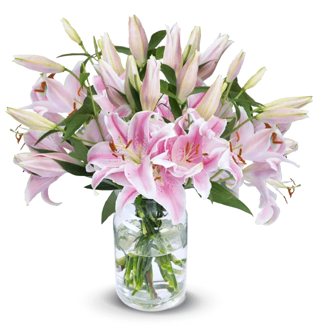 Pinke Lilien