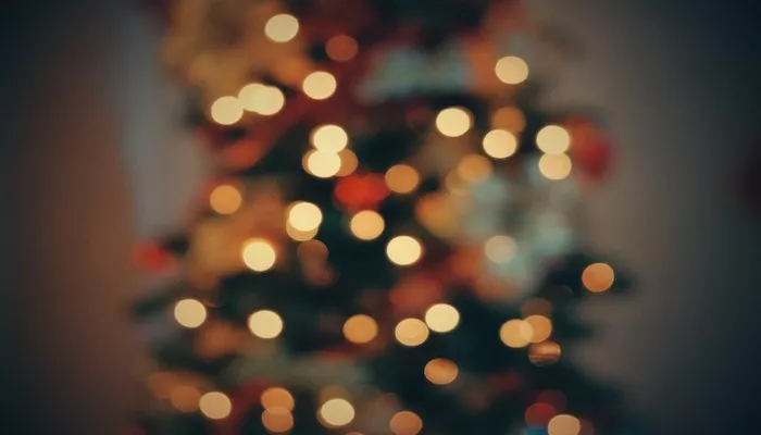 Weihnachtsbaum entsorgen - Hierauf solltest du unbedingt achten! Weihnachtsbaum entsorgen