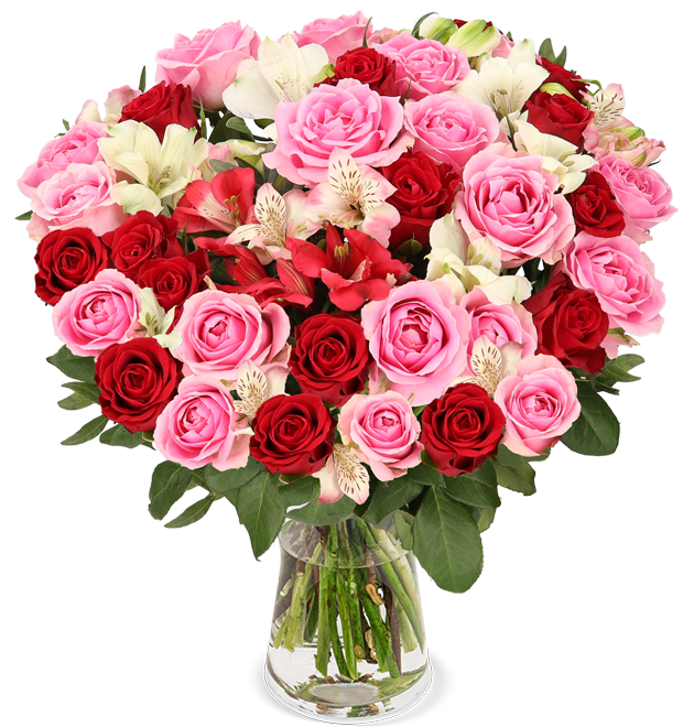30 Stiele Rosenwunder XXL mit bis zu 100 Blüten