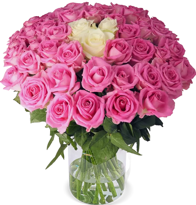50 Rosen - "Barbie-Special"