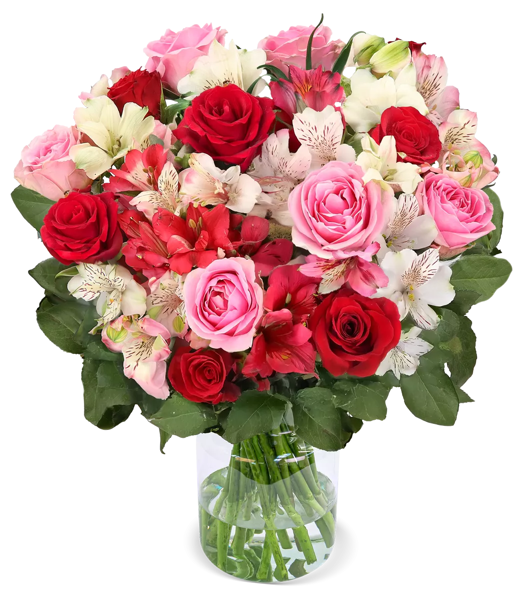 Rosenwunder mit bis zu 40 Blüten