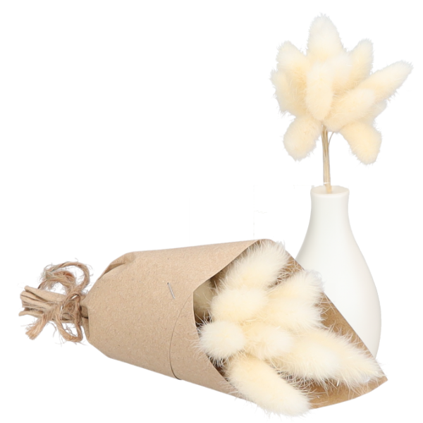 Trockenblumen - Mini Pampas