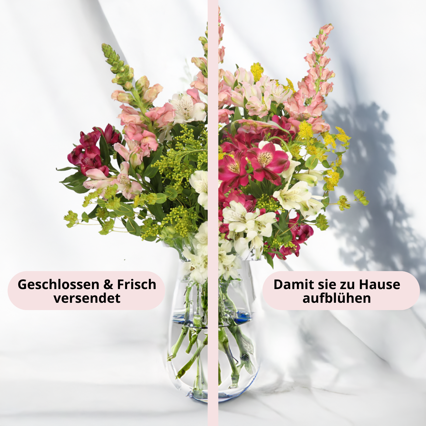 Kleiner Schnittblumenmix (DiY)