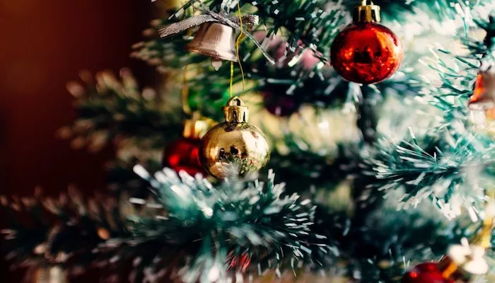 Weihnachtsbaum Wasser - So viel Wasser braucht dein Baum! Weihnachtsbaum Wasser
