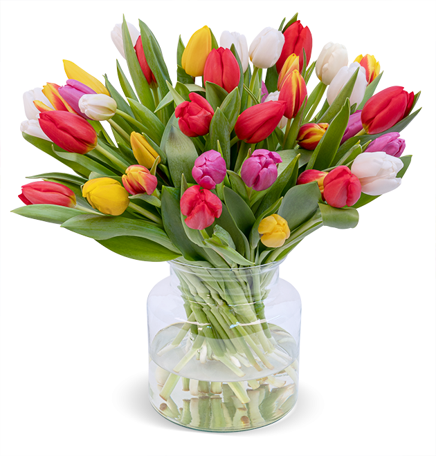 Schnittblumen online bestellen BlumeIdeal.de