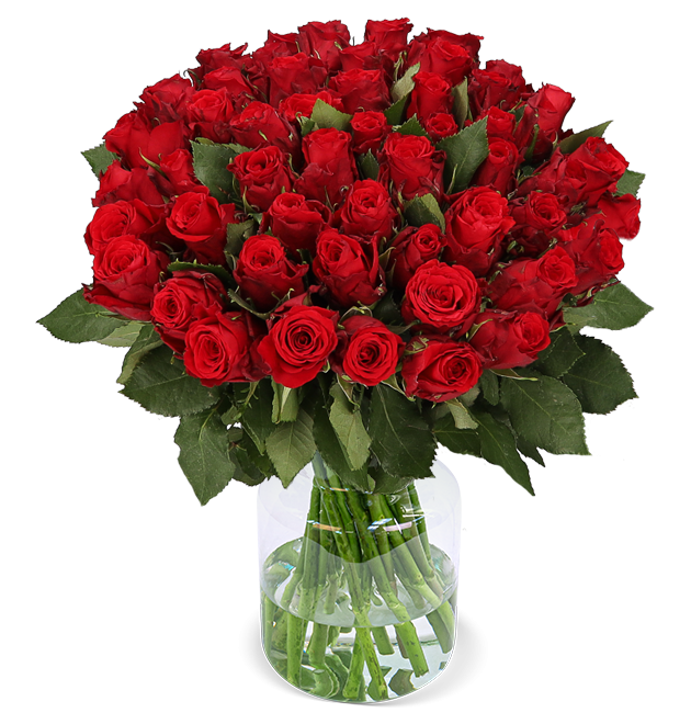 XXL Großer Blumenstrauß Gigantisch! BlumeIdeal.de